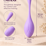 Stamen - Progressive Kegel Training Set