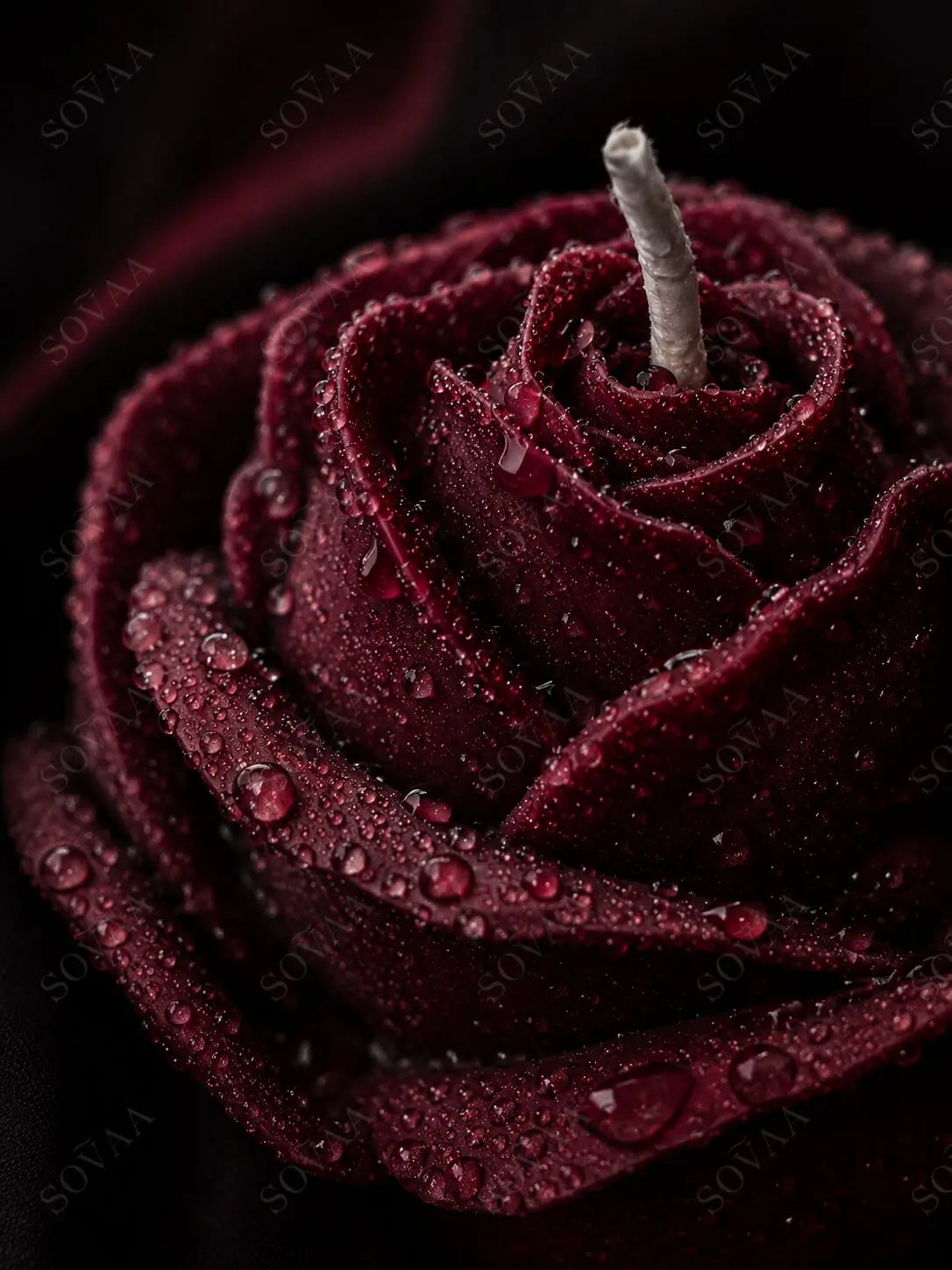 The Rose Candle