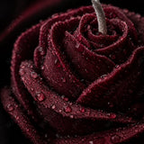 The Rose Candle