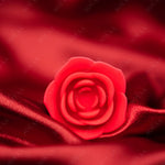 Rose Bloom Intimate Wellness Plug